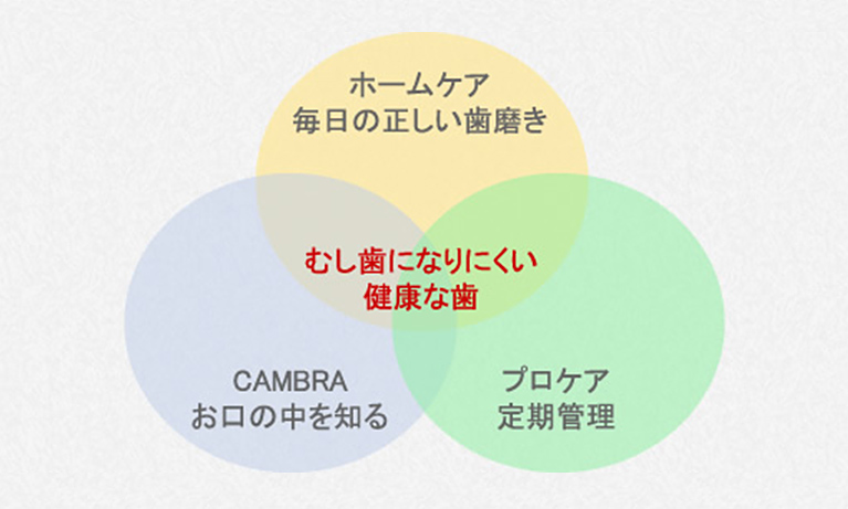 日本に導入されたばかりの新時代の予防システム