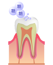 食習慣